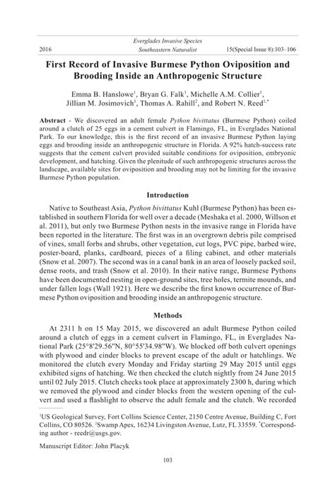 Image result for Python Brooding