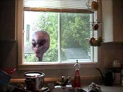 Image result for Alien Window