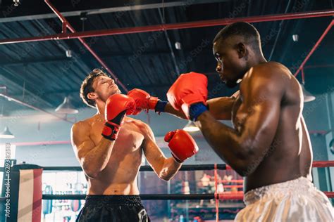 Image result for Boxing Sport