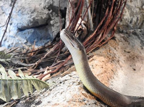 Image result for Example Python Code for Water Discharge