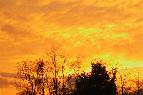 Image result for Autumn Burning