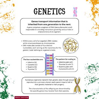 Image result for Genetic Inheritance Free Science Lessons