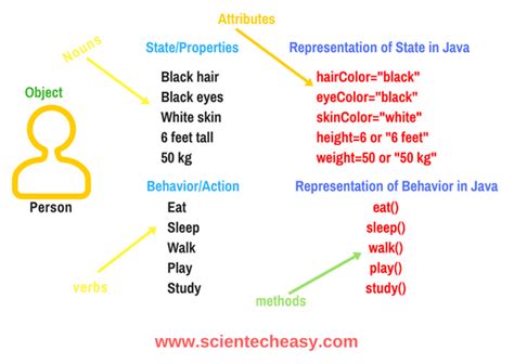 Image result for Java Object Example