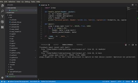 Image result for Capture Traffic Using Python Interface