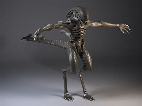 Image result for Alien Xenomorph Model