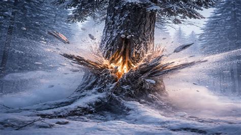 Image result for Exploding SAP Tree