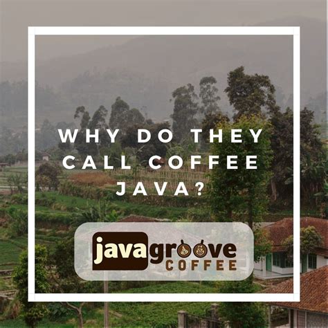 Image result for Java Coffee Java Programming