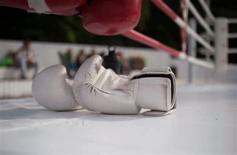 Image result for Boxing Sport