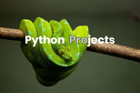 Image result for Fun Python Projects