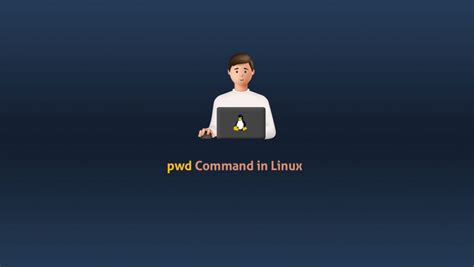 Image result for Pwd Command vs Code Python