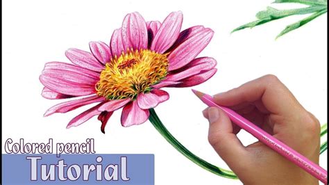 Afbeeldingsresultaten voor Flower Pencil Art Tutorials