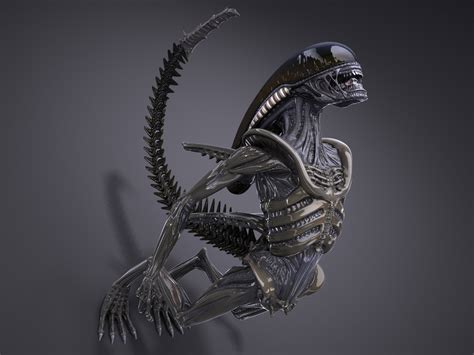 Image result for Alien Xenomorph Model