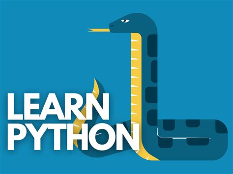 Image result for Python Learn by Doing