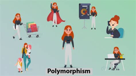 Image result for Polymorphism Java Example