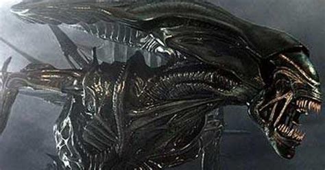 Image result for Alien FR