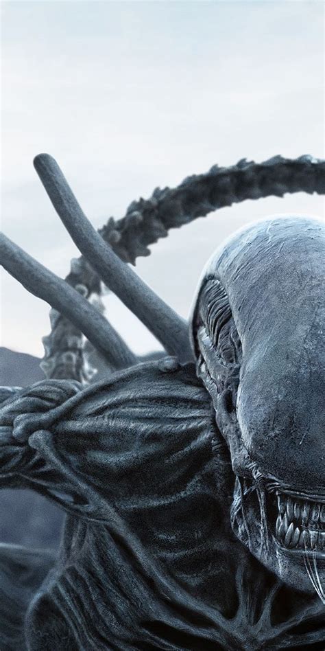 Alien Covenant Extended Cut Wraith Free に対する画像結果