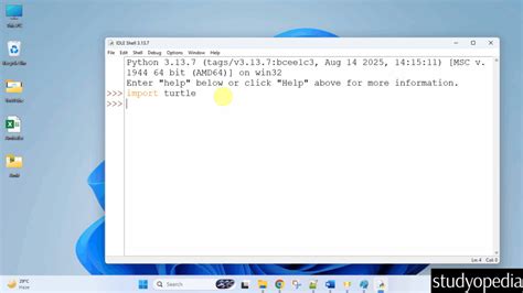 How to Install Turtle Python に対する画像結果