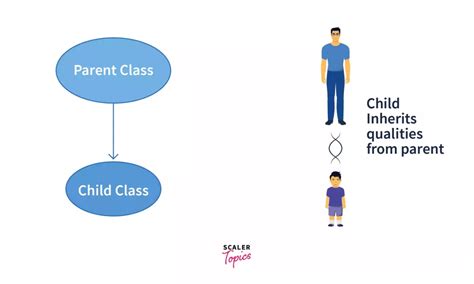 Image result for Python Class Inheritance Example