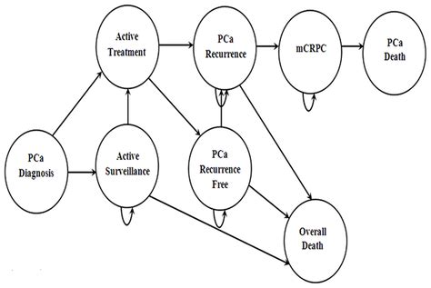 Image result for Computer Model Simulation