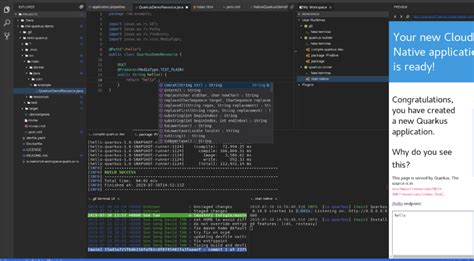 java coding software に対する画像結果