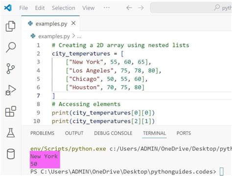 Array Code Example Python に対する画像結果