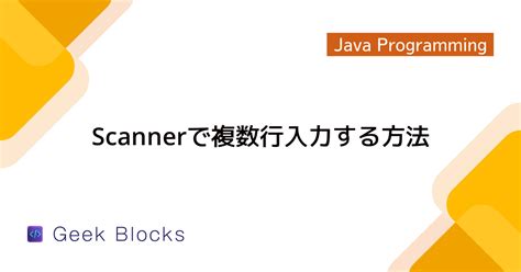 Scanning Loop in Java Implementation Code に対する画像結果