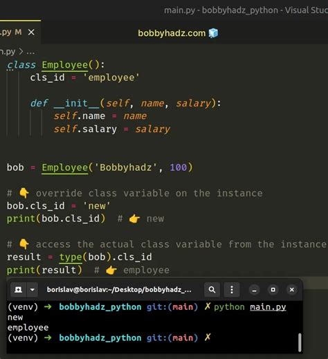 Python Class Variables に対する画像結果