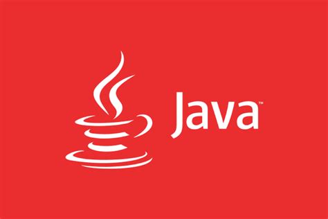 Image result for Java Coding Lanuage