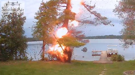Image result for Explosive Tree Exploding