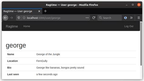 User Profile Display Project Using Python に対する画像結果