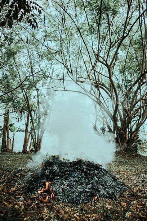 Image result for Autumn Burning