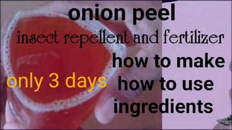 Image result for Using Onion to Make Insect Spray