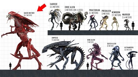 XENOMORPH Size Comparison - YouTube