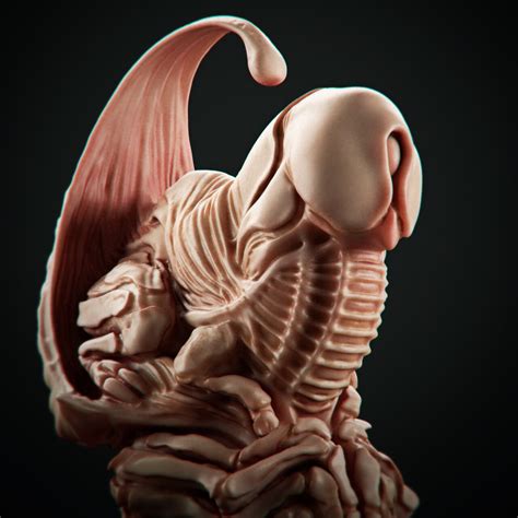 Alien God に対する画像結果