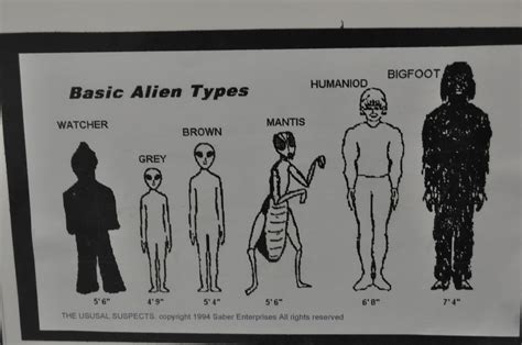 Afbeeldingsresultaten voor Alien Types
