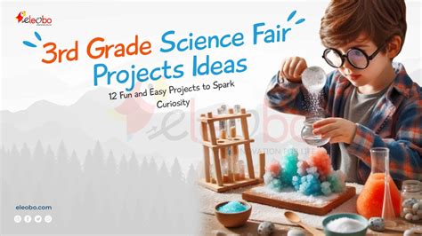 Toradh íomhá ar Science Fair Project Introduction Example