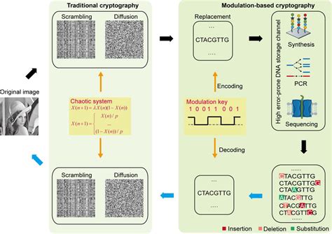 Image result for Encryption Decryption