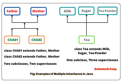 Image result for Java Inheritance Example Code