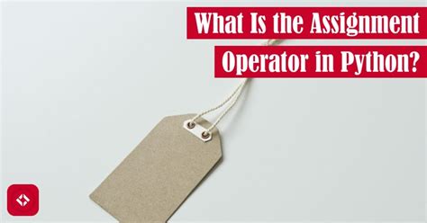 Image result for Python Assignment Operator