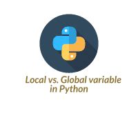Image result for Instance Variables Python