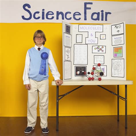Toradh íomhá ar Science Fair Project Introduction Example