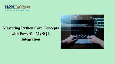 Integration MIT Python に対する画像結果