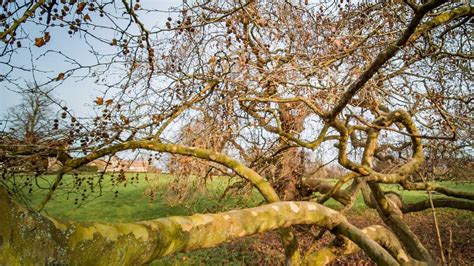 Image result for Raspberry Pi Camera Module Hat