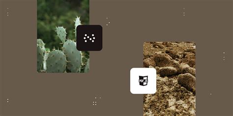 Afbeeldingsresultaten voor PDF JavaScript Render