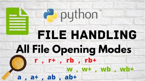 Python File Handling に対する画像結果