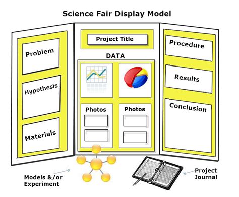Image result for Elementary Science Project Board Layout