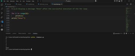 Program for Python Coding に対する画像結果