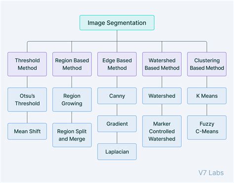 Image result for Computer Vision Classification Example