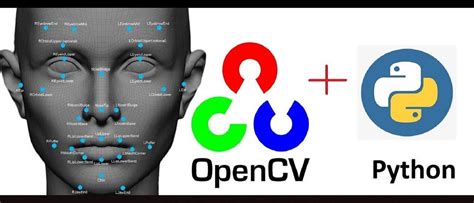 Image result for How to Create a Dataset Using OpenCV