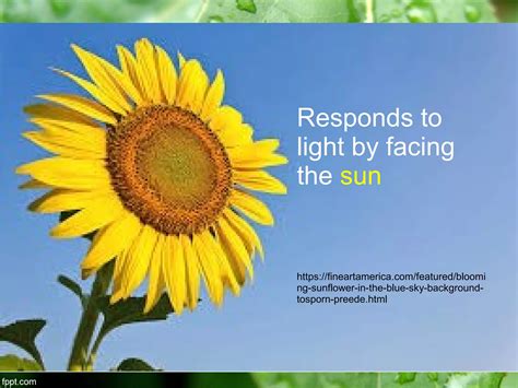 Image result for Introduction to Life Science